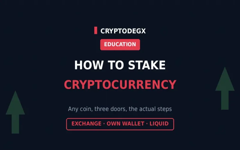 How to Stake Cryptocurrency: Any Coin, Three Doors, the Actual Steps
