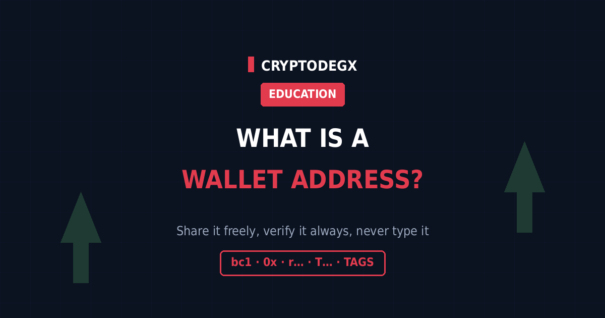 What is a crypto wallet address, formats by network and how to use one safely