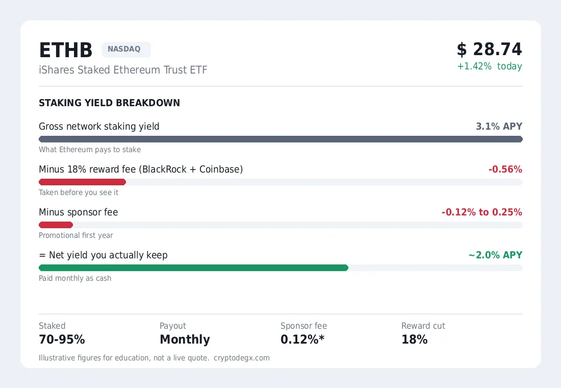 THB Ethereum staking ETF yield breakdown