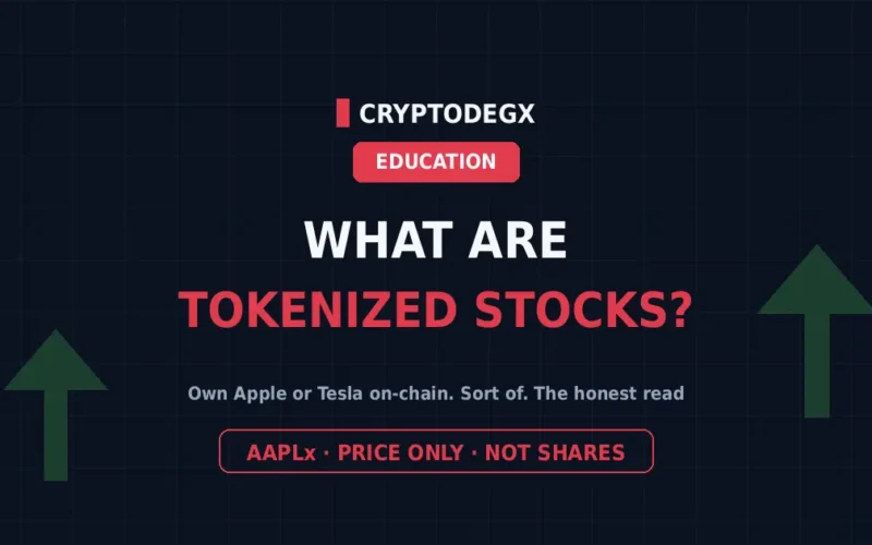 What Are Tokenized Stocks? How to Own Apple or Tesla On-Chain 4 What Are Tokenized Stocks? How to Own Apple or Tesla On-Chain